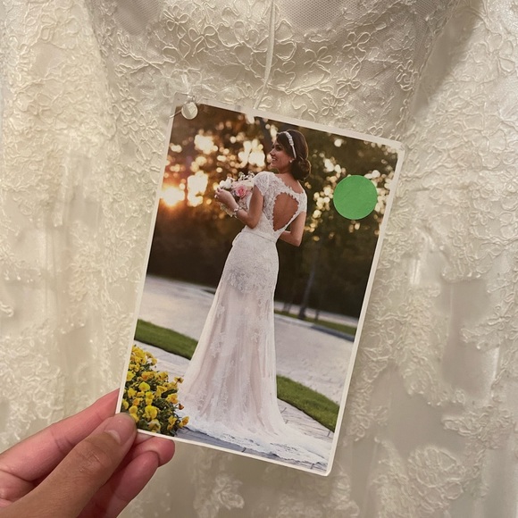 STELLA YORK WEDDING DRESS - Picture 5 of 5
